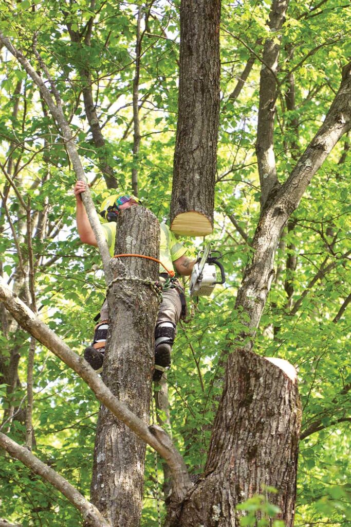 Crane-Assisted Rigging