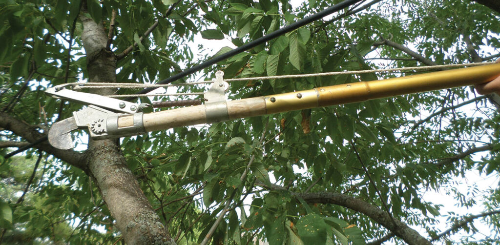 Electrical Hazards for Aerial-Lift