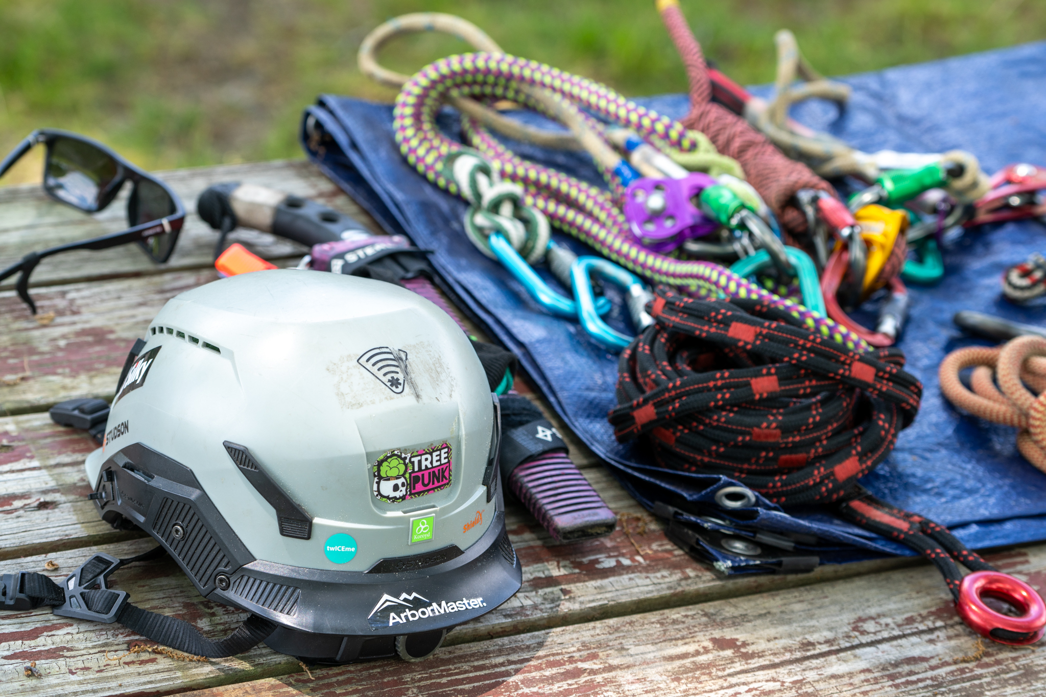 Arborist Climbing Gear Setup: Your Best Practices - Tree Care Industry ...