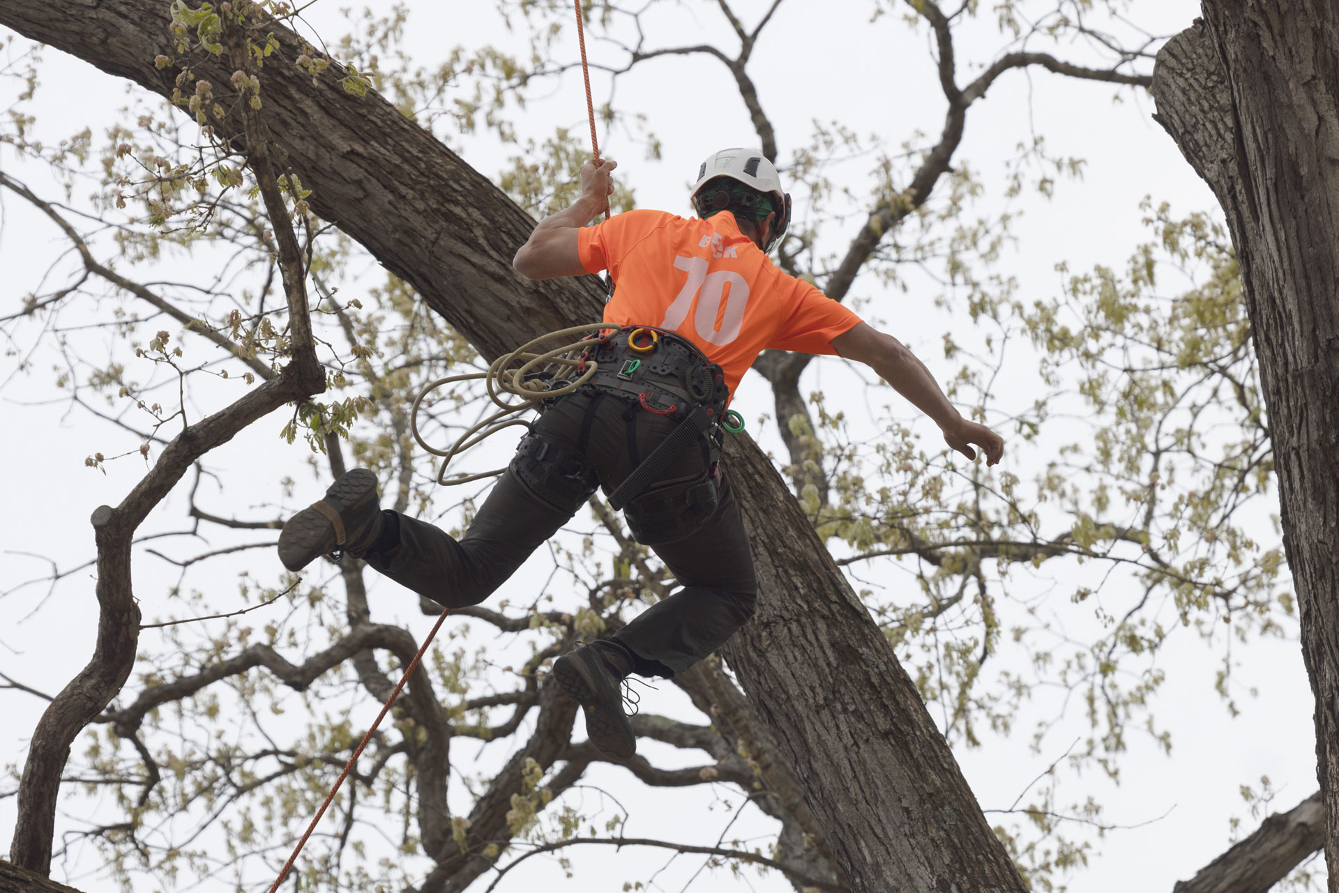 Davey Hosts 2026 North American Tree Climbing Championship at SEED ...