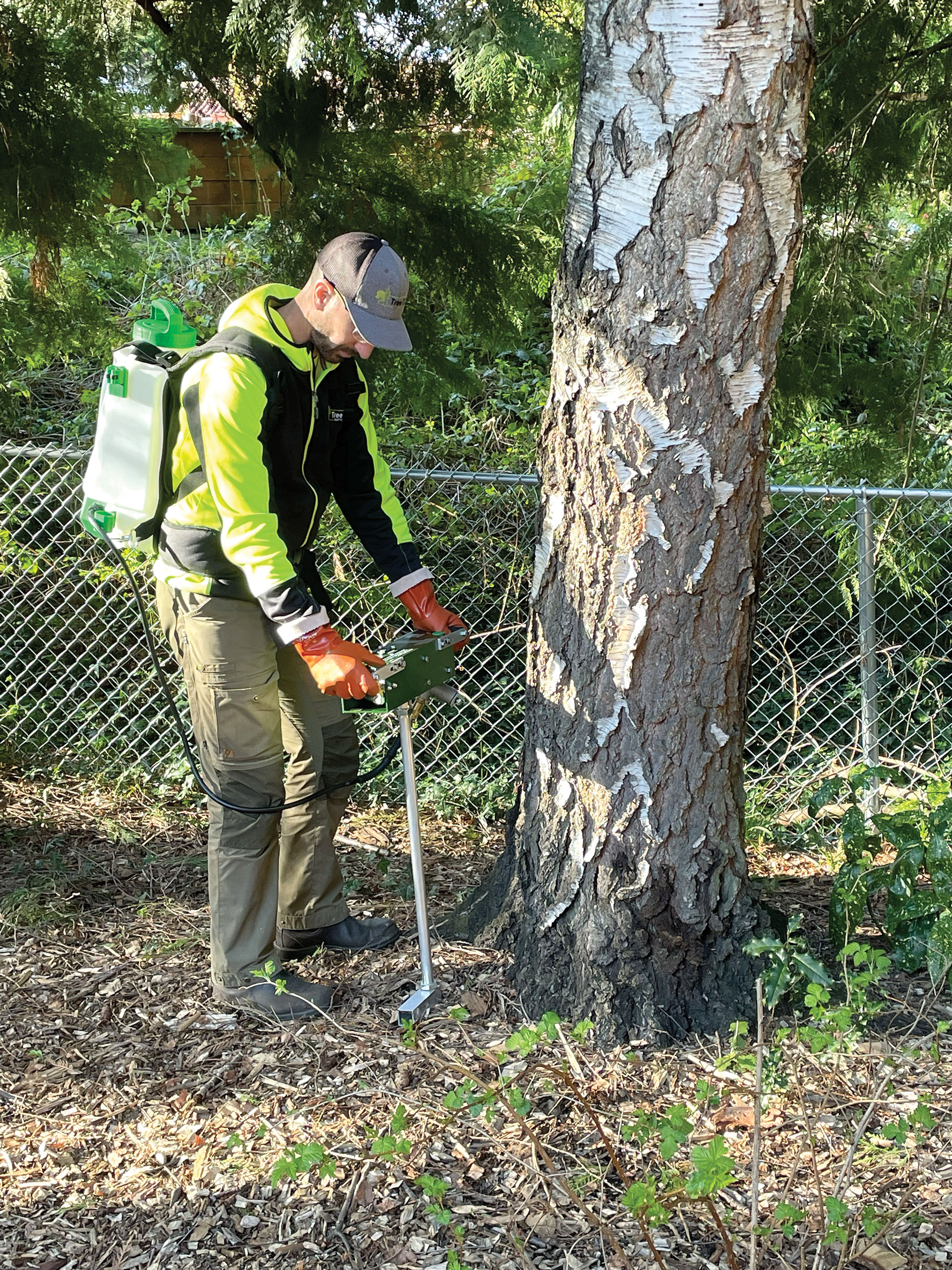 Tree Care Trends: The Shift to Diagnostic PHC - Tree Care Industry Magazine