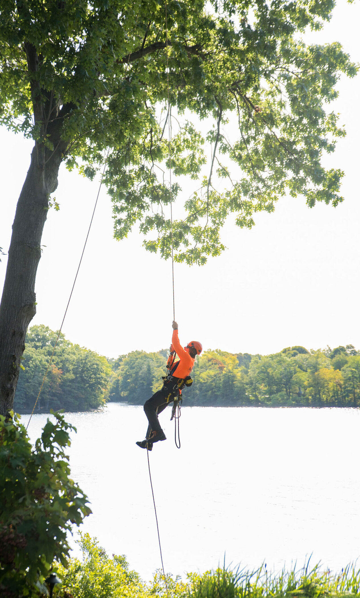 What Arborists Can Learn from Ultra-Endurance Sports - Tree Care ...