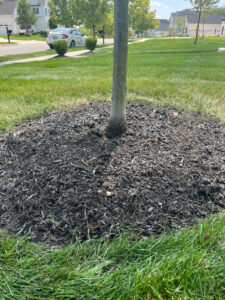 Biochar Application: Putting It All Together